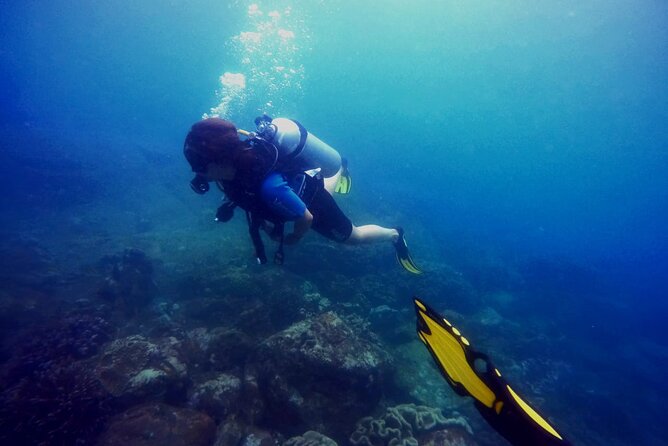 3 Hour Guided Scuba Diving in Trincomalee - Is $90 a fair price?