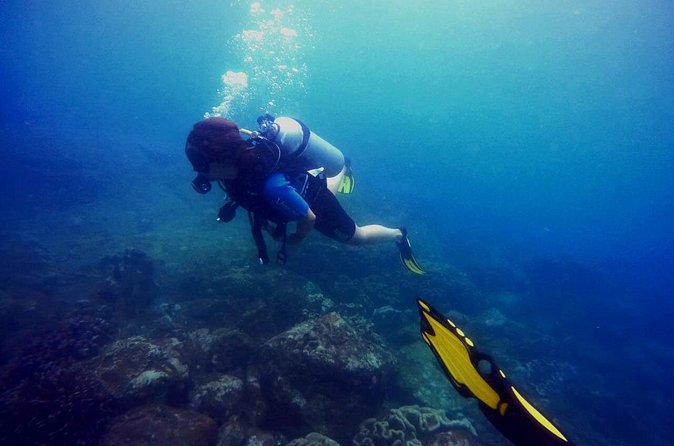 3 Hour Guided Scuba Diving in Trincomalee - Who should book this Trincomalee outing?