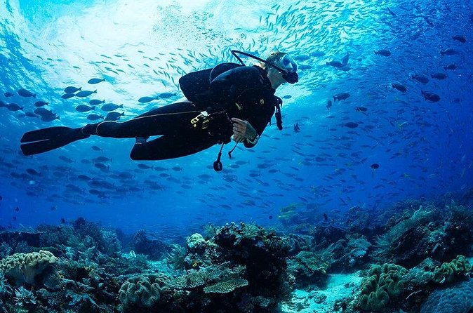 3 Hour Guided Scuba Diving in Trincomalee - Timing, weather, and cancellation advice