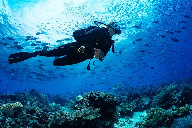 3 Hour Guided Scuba Diving in Trincomalee - What the three-hour schedule means for you