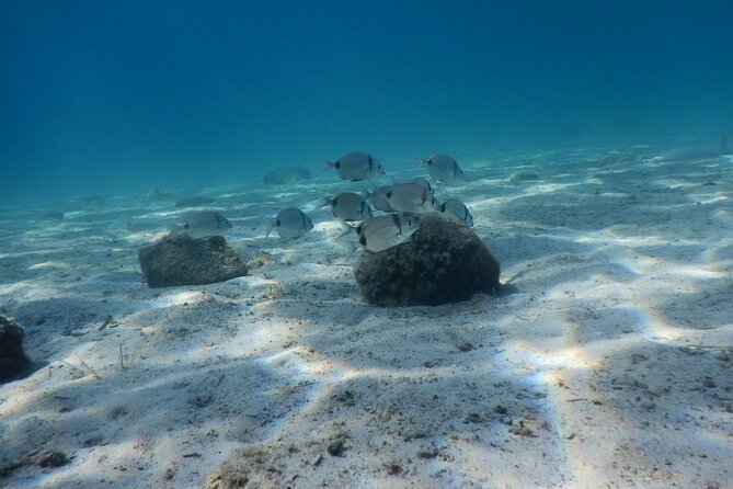 3 Hour Private Scuba Diving Experience - Your first underwater lesson near Athens
