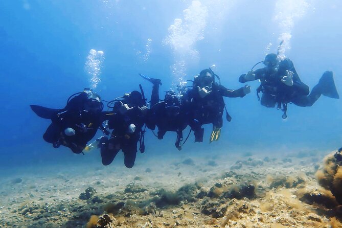 3 Hour Private Scuba Diving Experience - Why the private format matters