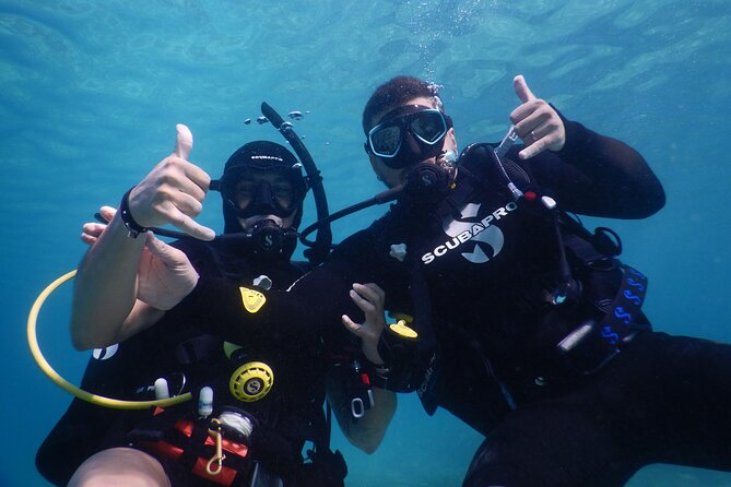 3 Hour Private Scuba Diving Experience - Meeting fish, turtles, and seabed plants