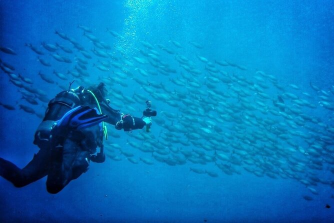 3-Hour Try Scuba Private Guided Sea Baptism from Palermo - What happens before you enter the water