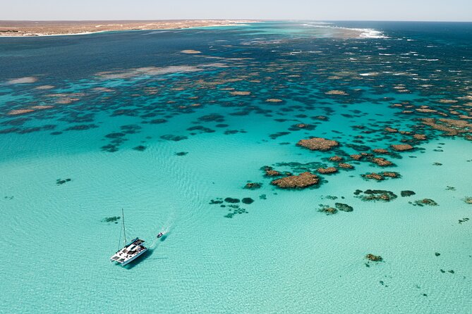 3 Night Ningaloo Reef Snorkel and Dive Getaway from Coral Bay - Three nights aboard Shore Thing