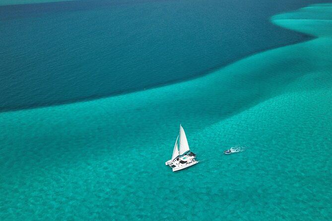 3 Night Ningaloo Reef Snorkel and Dive Getaway from Coral Bay - Day 4: Manta rays and the return to Coral Bay
