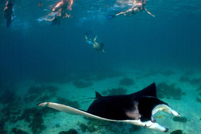 3 Night Ningaloo Reef Snorkel and Dive Getaway from Coral Bay - What the small group changes