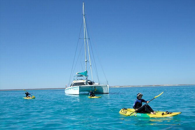 3 Night Ningaloo Reef Snorkel and Dive Getaway from Coral Bay - Who will get the most from this trip