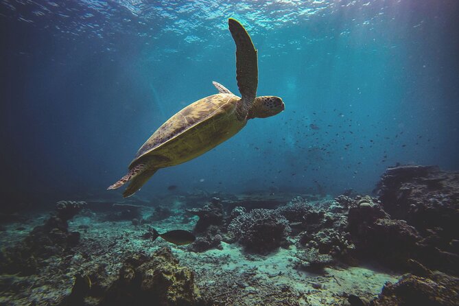 3 Semporna Islands Tour with Snorkel or Diving Experience - Weather, currents, and realistic expectations