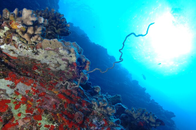 3-Tank Dive Featuring the Molokini Crater - The early start at Kihei Boat Landing