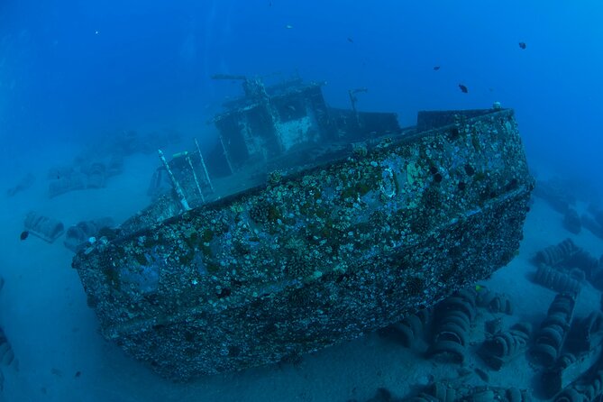 3-Tank Dive Featuring the Molokini Crater - The second and third tanks: more than one famous site
