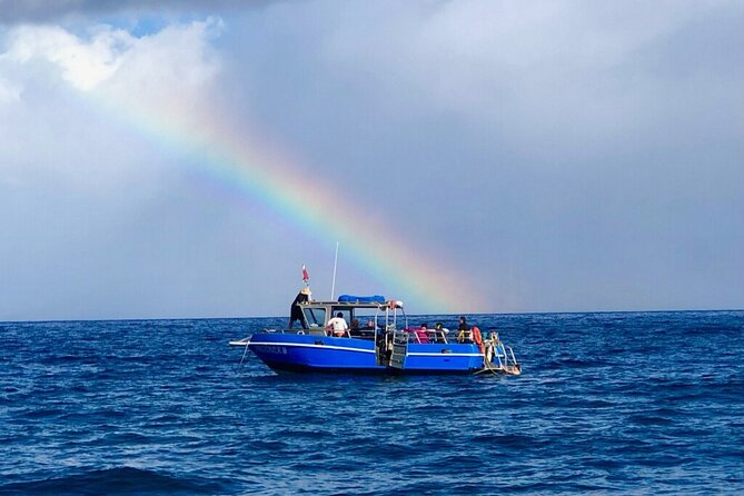 3-Tank Dive Featuring the Molokini Crater - Reaching Molokini in 20 to 25 minutes