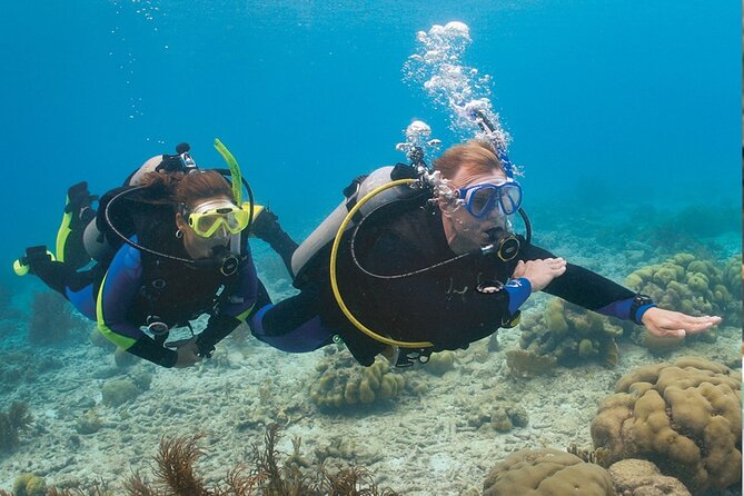4 Day Certified PADI Open Water Scuba Diver in Dubai - From classroom theory to your first underwater breath