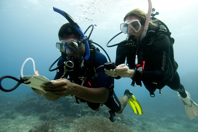 4 Day Certified PADI Open Water Scuba Diver in Dubai - Meeting at the Jumeirah center