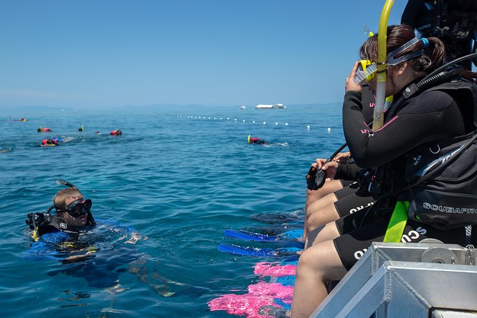 4-Day PADI Open Water Dive Course - Learn to Dive on the Great Barrier Reef - From Cairns classroom to Great Barrier Reef certification