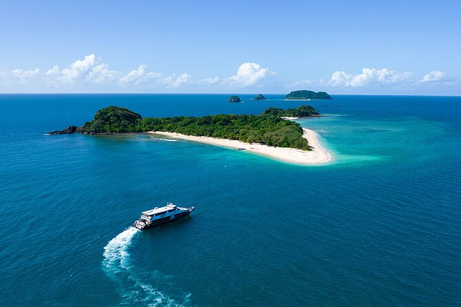 4-Day PADI Open Water Dive Course - Learn to Dive on the Great Barrier Reef - What the PADI certificate lets you do