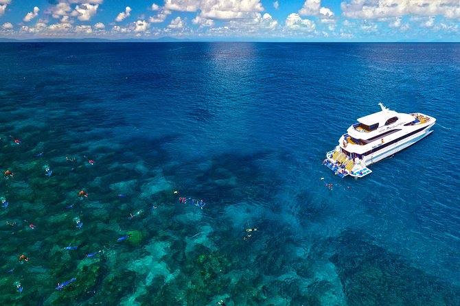 4-Day PADI Open Water Dive Course - Learn to Dive on the Great Barrier Reef - Who should book this four-day course?