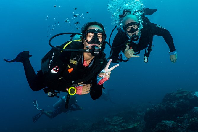 5 Fun Dives in Pemuteran (for certified divers) - Exploration in Menjangan Park - The five-session package and its value