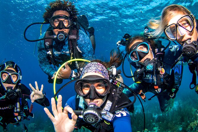 6 days unlimited diving - Why this six-day package fits Bonaire so well