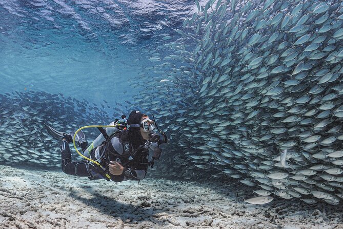 6 days unlimited diving - What your first tank at Hamlet Oasis is like