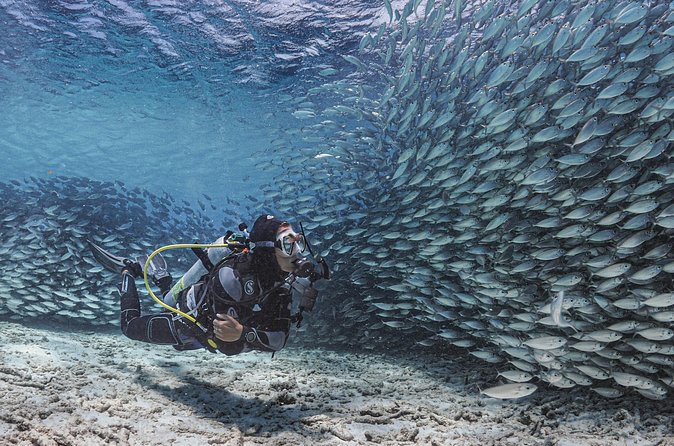 6 days unlimited diving - Who gets the best value from $210