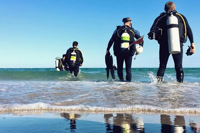 A day at the beach and diving - Why this Sesimbra outing works for mixed groups