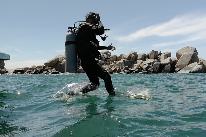 Acapulco Beginners Scuba Diving - Equipment, snacks, and what the $175 price covers