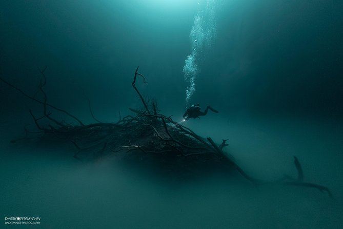 Advanced Open Water Diver course PADI in Playa del Carmen - Sea or cenote: two different kinds of setting