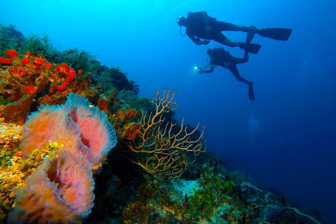 Advanced Open Water Diver course PADI in Playa del Carmen - Group size and instructor support
