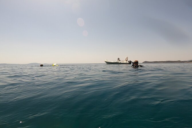 Adventure Dives for Certified Divers in Nea Makri, Athens - From Athens to the underwater sites of Nea Makri