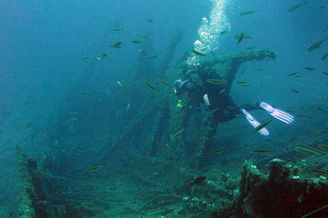 Adventure Dives for Certified Divers in Nea Makri, Athens - What you can see around Platourada and Dipsa