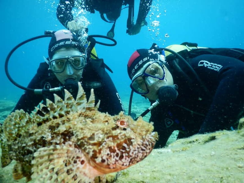 Agia Pelagia: Introduction to Scuba Diving (2 Dives) - The 30-minute briefing before entering the water