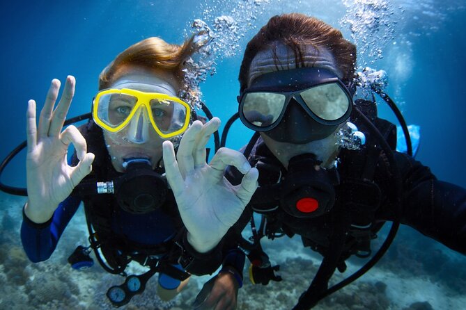 Alanya Scuba Diving Adventure: 2 Guided Dives with Lunch - Key points to know before you book
