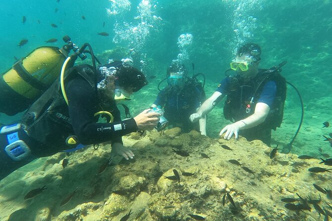 Alanya Scuba Diving Adventure: 2 Guided Dives with Lunch - Waiting time, swimming, and the boat routine