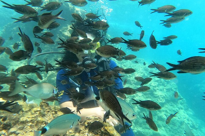 Alanya Scuba Diving Adventure: 2 Guided Dives with Lunch - The second session near a calm bay