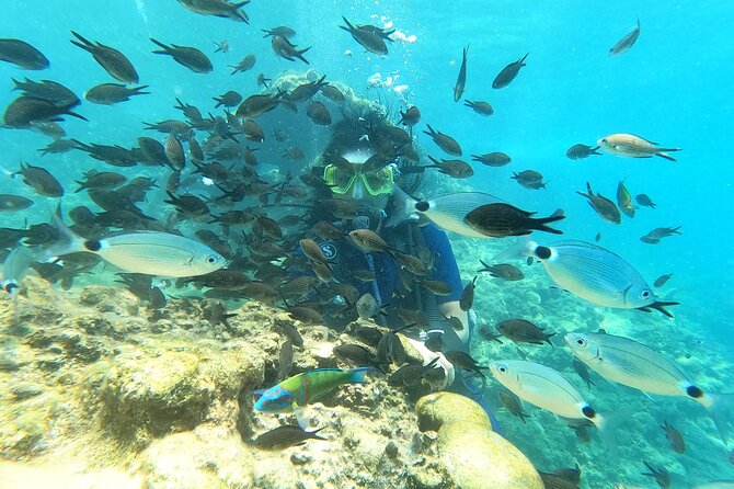 Alanya Scuba Diving Adventure: 2 Guided Dives with Lunch - Safety, staff attention, and beginner comfort