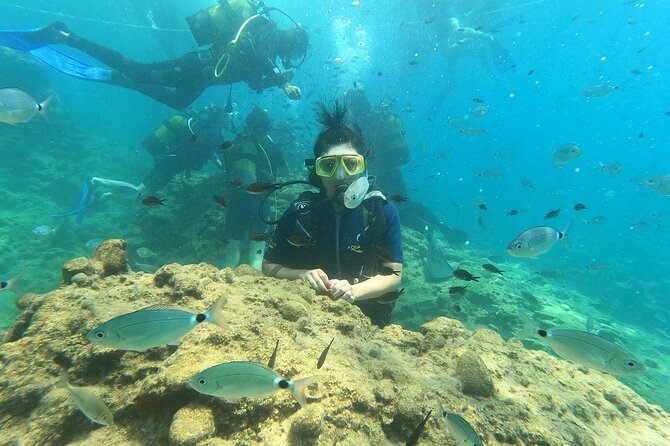 Alanya Scuba Diving Adventure: 2 Guided Dives with Lunch - Photos, video, and the one awkward extra cost