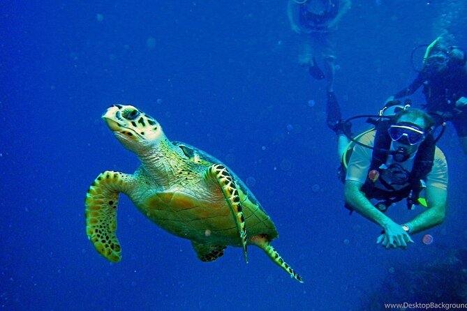 Alanya Scuba Diving Adventure: 2 Guided Dives with Lunch - A manageable first underwater session