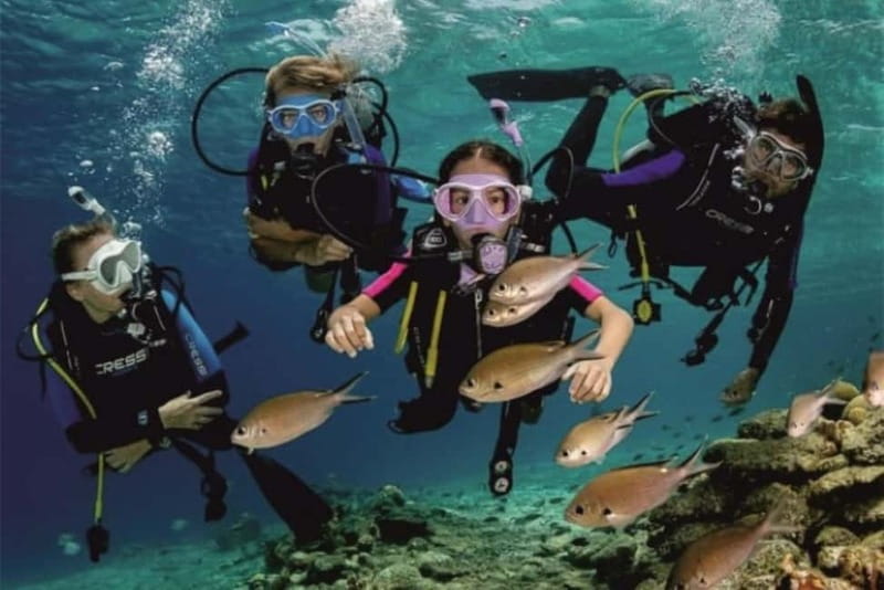Alanya: Scuba Diving Adventure for Beginners & Professionals - Should you book the Alanya scuba adventure?