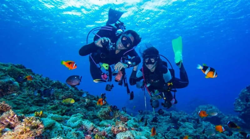 Alanya: Scuba Diving Adventure for Beginners & Professionals - Lunch, snorkeling, and time on deck