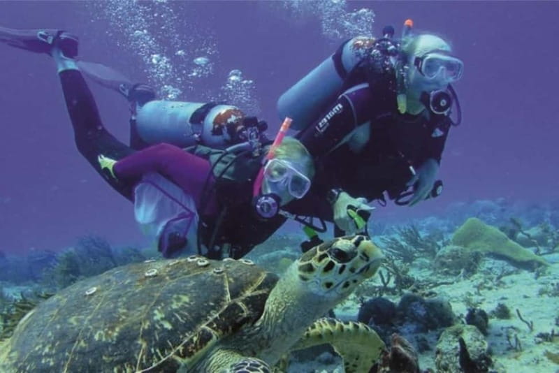 Alanya: Scuba Diving Adventure for Beginners & Professionals - Instructors, safety, and group rhythm