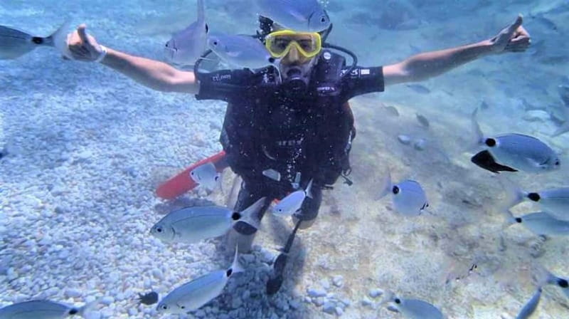 Alanya: Scuba Diving Adventure for Beginners & Professionals - The first session at 3 to 5 meters