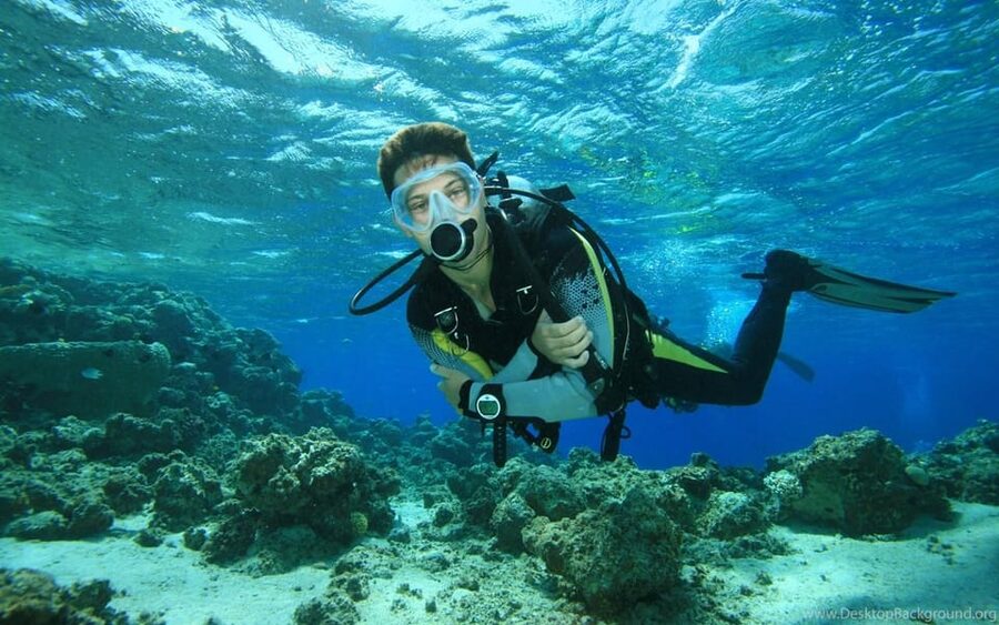 Alanya:Scuba Diving Boat Trip with Lunch and Transfer - A five-hour introduction to Alanya’s underwater world