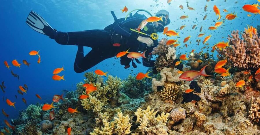 Alanya:Scuba Diving Boat Trip with Lunch and Transfer - Learning the basics before entering the water