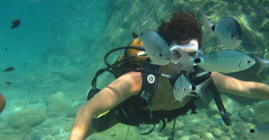 Alanya: Scuba Diving Experience with Lunch - What Your Alanya Day Looks Like