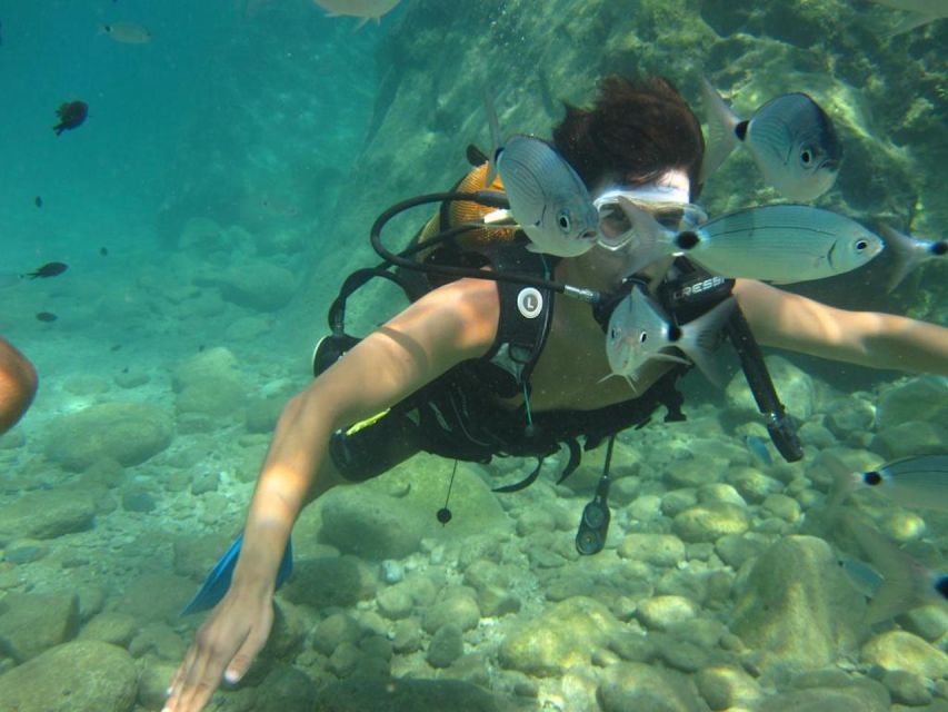 Alanya: Scuba Diving Experience with Lunch - Lunch, Swimming, and Time on the Boat