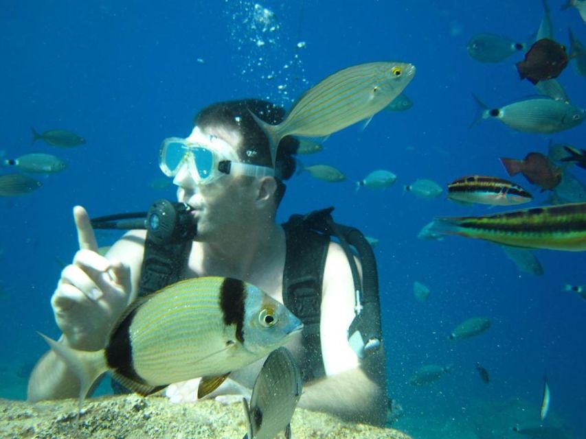Alanya: Scuba Diving Experience with Lunch - The Second 20-Minute Session