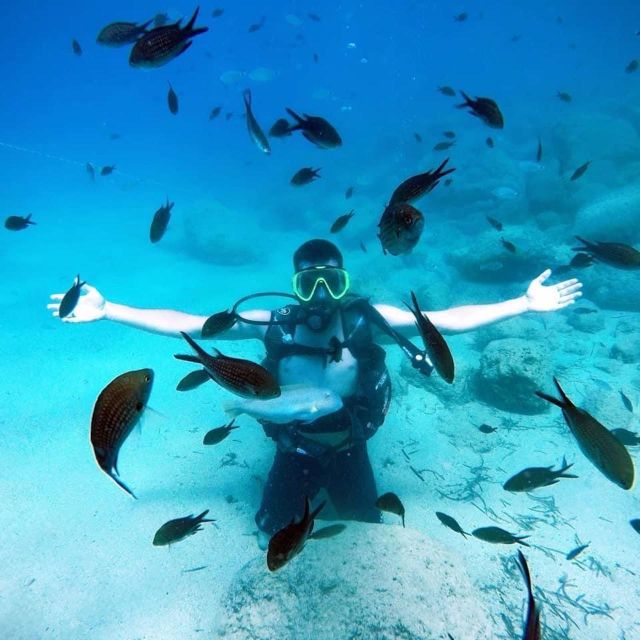 Alanya: Scuba Diving Experience with Lunch - Photos and Extra Costs