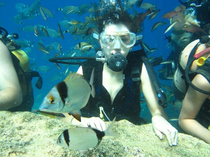 Alanya: Scuba Diving Experience with Lunch - Is $50 a Fair Price?