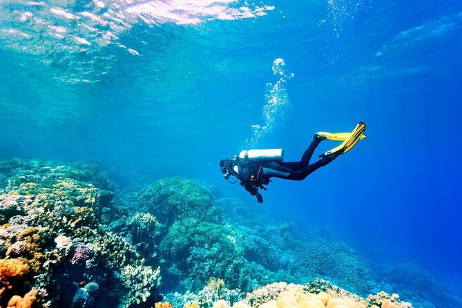Alanya Scuba Diving for Beginners - Getting from your hotel to the Alanya marina